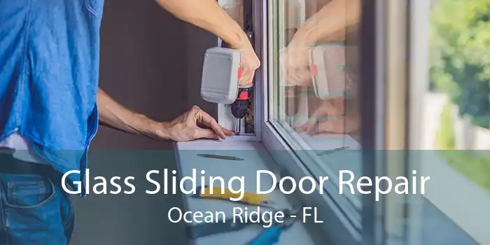 Glass Sliding Door Repair Ocean Ridge - FL