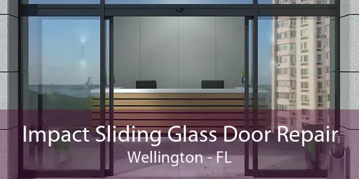 Impact Sliding Glass Door Repair Wellington - FL