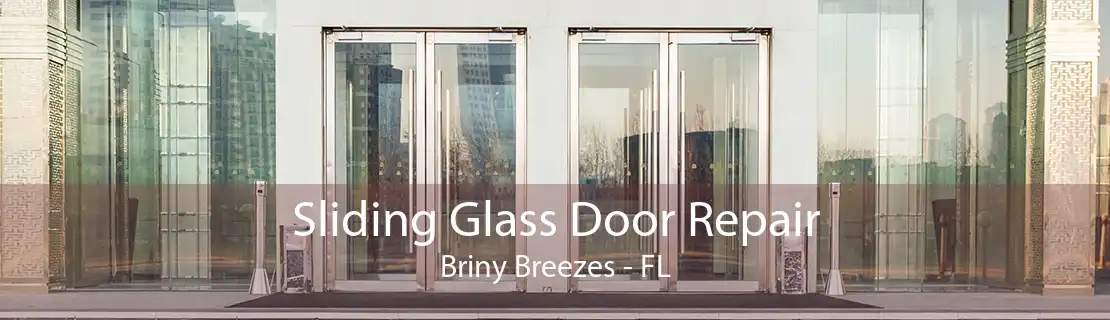 Sliding Glass Door Repair Briny Breezes - FL